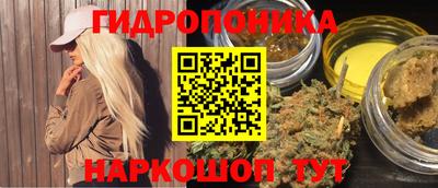 сатива Ставрополь