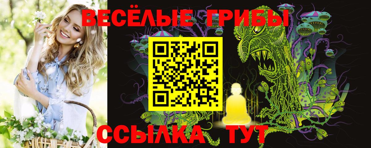 Псилоцибиновые грибы Psilocybe Назрань