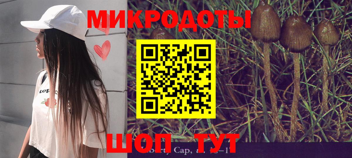 Псилоцибиновые грибы MAGIC MUSHROOMS  Вход с VPN  Назрань 